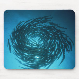 Tapis De Souris Natation de barracuda de Blackfin en cercles
