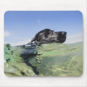 Tapis De Souris Natation de chien dans l'eau