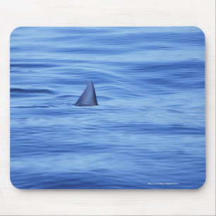 Tapis De Souris Natation de requin dans l'eau d'océan