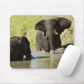 Tapis De Souris Natation d'éléphant (Avec souris)