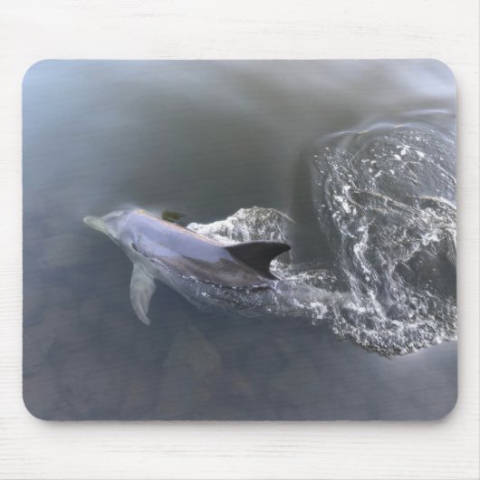 Tapis De Souris Natation des dauphins (Devant)