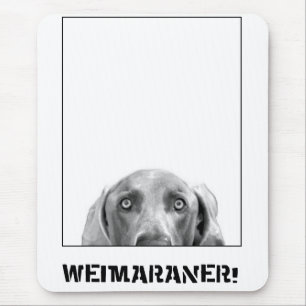 Tapis De Souris Nation de Weimaraner : Weimaraner dans une boîte 