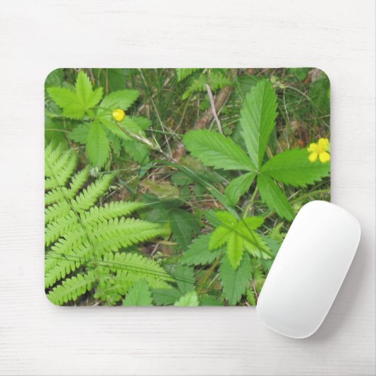Tapis De Souris Nature (Avec souris)