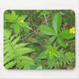 Tapis De Souris Nature