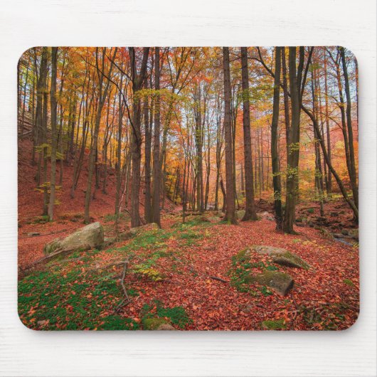 Tapis De Souris nature, forêt, arbres (Devant)