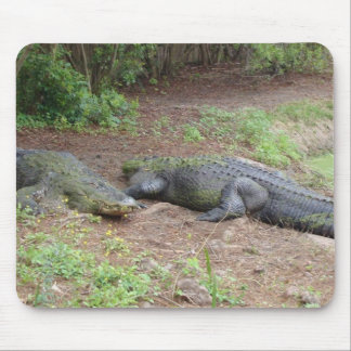 TAPIS DE SOURIS NATURE MOUSEPAD