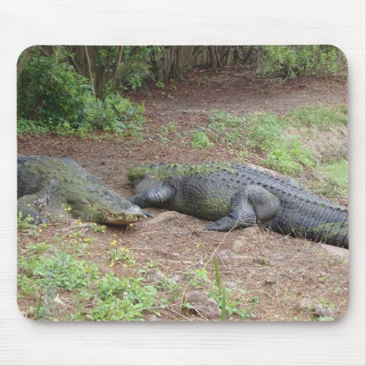 TAPIS DE SOURIS NATURE MOUSEPAD (Devant)