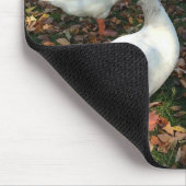 Tapis De Souris Nature pure (Coin)