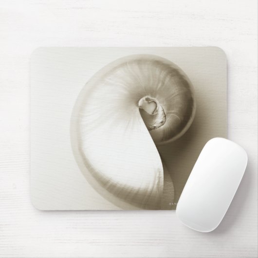 Tapis De Souris Nausolée perlée 2 (Avec souris)