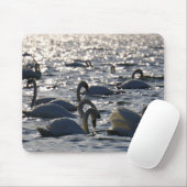 Tapis De Souris Navires en groupe sur l'eau avec glissement (Avec souris)