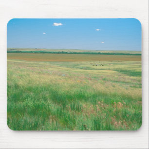 Tapis De Souris NE, États-Unis, NA. Prairies près d'Ogallala avec