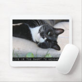 Tapis De Souris Ne Pas Être Jaded Drôle Citation Motivation Chat (Avec souris)