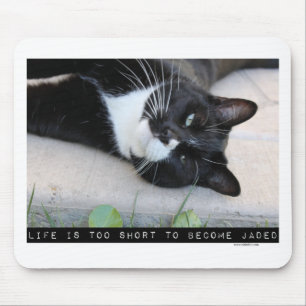 Tapis De Souris Ne Pas Être Jaded Drôle Citation Motivation Chat