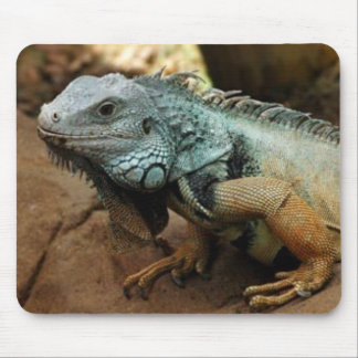 Tapis De Souris Ne soyez pas bleu