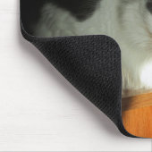 Tapis De Souris Ne touchez pas mon chat Meme de café (Coin)