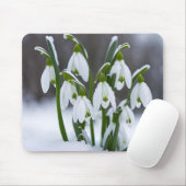 Tapis De Souris Neige En Neige (Avec souris)