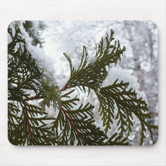 Tapis De Souris Neige sur les branches À feuillage persistant (Devant)