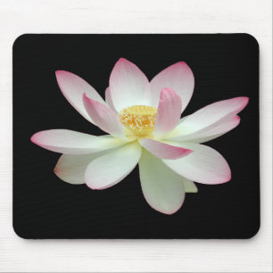 Tapis De Souris Nelumbo nucifera