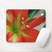 Tapis De Souris nénuphar (Avec souris)