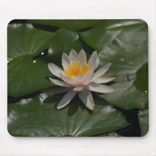 Tapis De Souris Nénuphar blanc Mousepad (Devant)