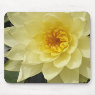 Tapis De Souris Nénuphar jaune Mousepad