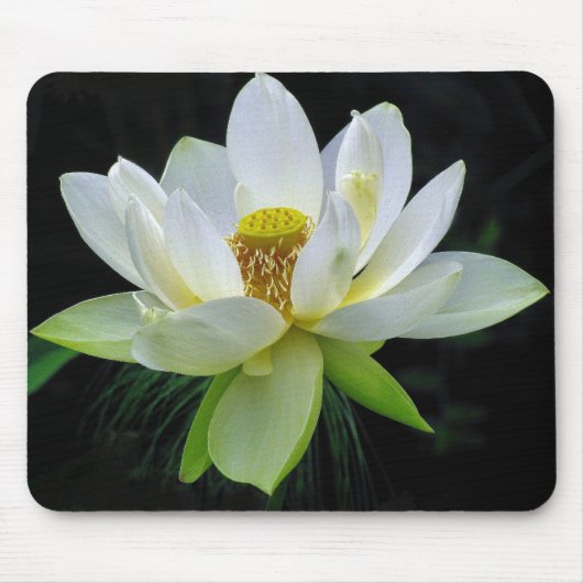 Tapis De Souris Nénuphar Mousepad (Devant)