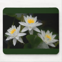 Nénuphar Trio Mousepad