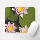 Tapis De Souris Nénuphars (Avec souris)