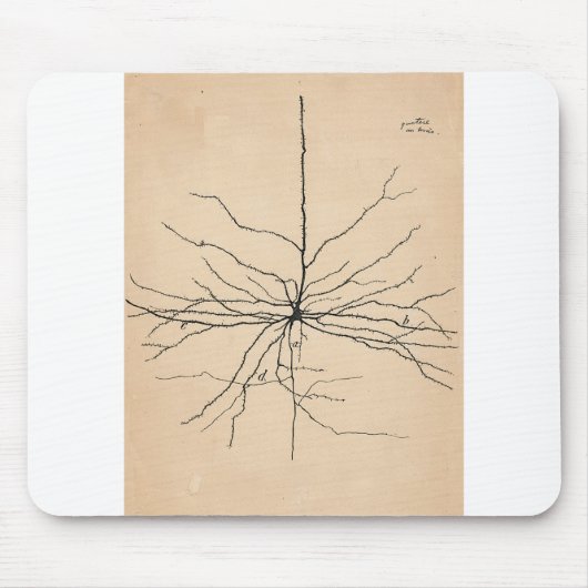 Tapis De Souris Neuron Pyramida Dessin Santiago Ramon y Cajal (Devant)