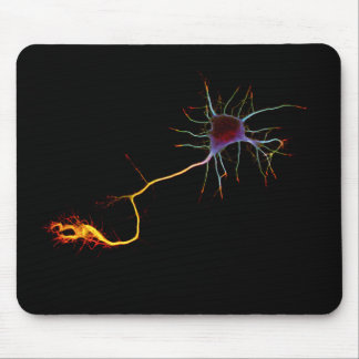 Tapis De Souris Neuroscience, neuron, science