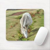 Tapis De Souris New Forest Pony Horse-lover's U.K. Animal (Avec souris)