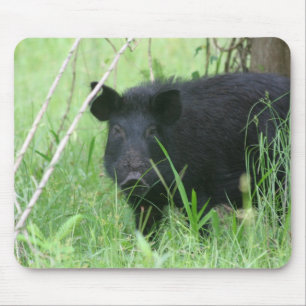 Tapis De Souris Nez sale