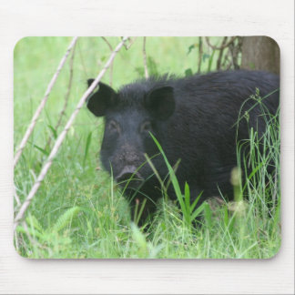 Tapis De Souris Nez sale