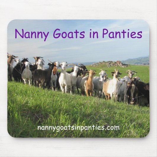 Tapis De Souris NGIP Mousepad (Devant)