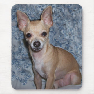 Tapis De Souris nibblesportrait