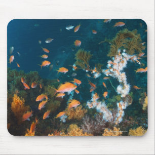 Tapis De Souris Nishiizumachi, préfecture de Shizuoka, Japon 2