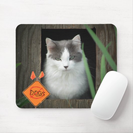 Tapis De Souris No Dogs Zone Kitty (Avec souris)