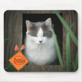 Tapis De Souris No Dogs Zone Kitty (Devant)