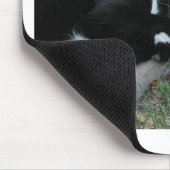 Tapis De Souris No Fear Kitty Epic Motivational Slogational Photo (Coin)