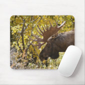 Tapis De Souris Noble taureau (Avec souris)