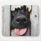 Tapis De Souris Noir Labrador Retriever Nez Dans Un Trou En Bois (Devant)