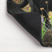 Tapis De Souris Noir sur le Chat Noir arqué vert (Coin)