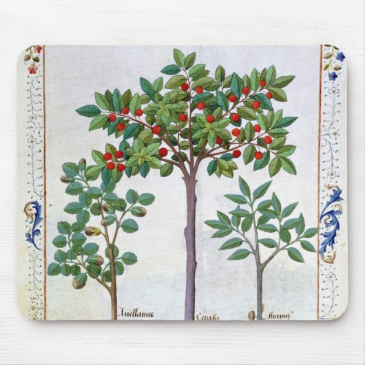 Tapis De Souris Noisette Bush et cerisier (Devant)