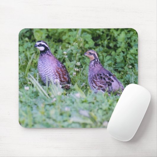 Tapis De Souris Non cailles (Avec souris)