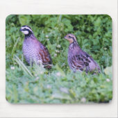 Tapis De Souris Non cailles (Devant)