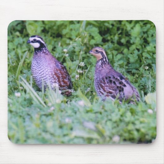 Tapis De Souris Non cailles (Devant)