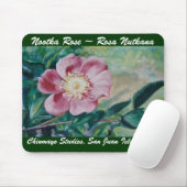 Tapis de souris Nootka Rose (Avec souris)