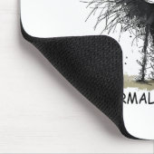 Tapis De Souris Normal Is Boring Funny Cat Graphic Tee Men Women  (Coin)