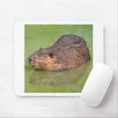 Tapis De Souris North American Beaver dans l'eau (Avec souris)
