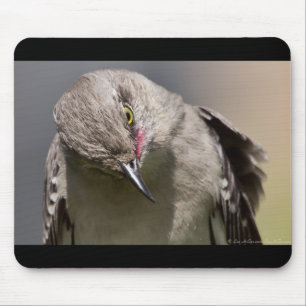Tapis De Souris Northern Mockingbird prend un Bow Appareils & cade